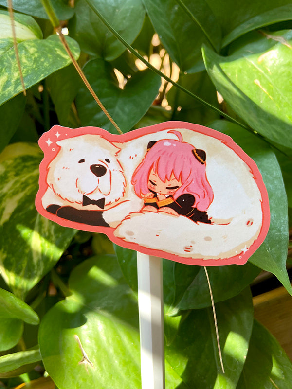 Chibi Aanya & Bondo San